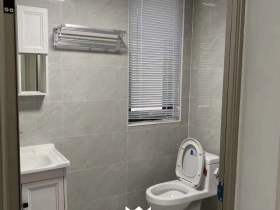 完工篇  明晟壹城案例