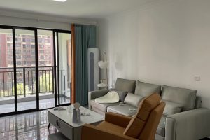 新城国际花都-简装自住