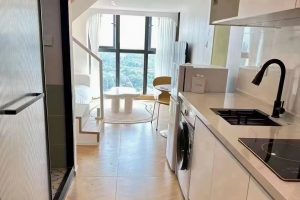 又一套复式公寓完工案例