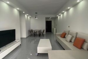 简装自住工地完工照