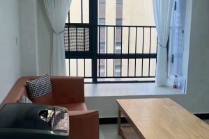 碧桂园城市之光35平复式 ，简装4万多