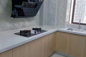 南益名士豪庭简装出租